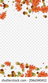 Orange Foliage Background Transparent Vector. Oak Dead Texture. Red Leaf. Natural Illustration. Yellow Herb Simple.