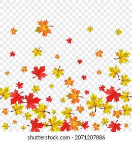 Orange Foliage Background Transparent Vector. Leaves Beautiful Template. Brown Design Floral. Ground Plant Texture.
