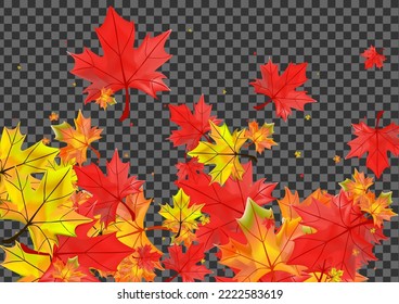 Orange Foliage Background Transparent Vector. Plant November Design. Yellow Bright Leaf. Flying Leaves Frame.