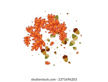 Orange Foliage Background White Vector. Leaves Floral Texture. Gold Acorn. Collection Frame. Yellow Oak Image.