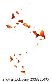 Orange Foliage Fresh Vector White Background Concept. Ecology Solar Border. Yellow Leaves Motion Wallpaper. Leaf Tree Template.