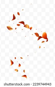 Orange Foliage Motion Vector White Transparent Background Design. Swirl Solar Wallpaper. Forest Leaf Spring Plant. Leaves Blur Banner.