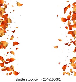 Orange Foliage Tree Vector White Background Branch. Forest Solar Template. Yellow Leaf Ecology Illustration. Leaves Realistic Poster.