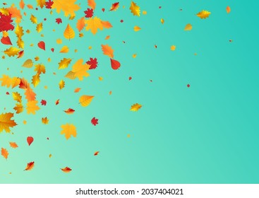 Orange Foliage Vector Blue Background. September Leaves Design. Green Bright Floral Template. Down Frame.