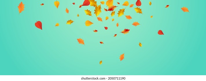 Orange Foliage Vector Blue Panoramic Background. Forest Plant Card. Autumnal Paper Leaf Template. Season Design.