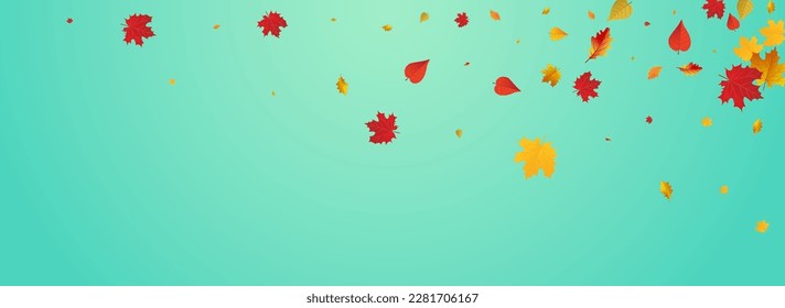 Orange Foliage Vector Blue Panoramic Background. Collection Plant Frame. Yellow Celebrate Leaves Texture. Decoration Design.