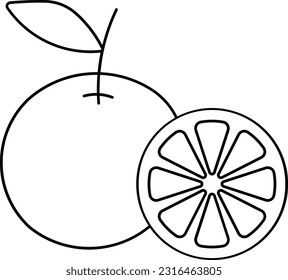 Orange food fruit vegetable green Outline