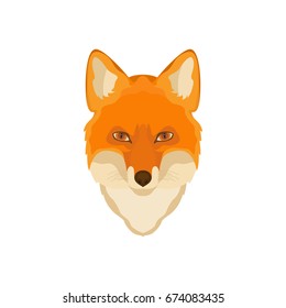 Orange Fox head. Vector image. Wild animal, wildlife, hunting, zoo.