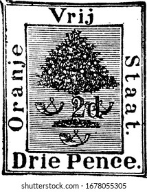 Orange Free State Stamp (3 pence) from 1888-1892, a small adhesive piece of paper was stuck to something to show an amount of money paid, vintage line drawing or engraving illustration.