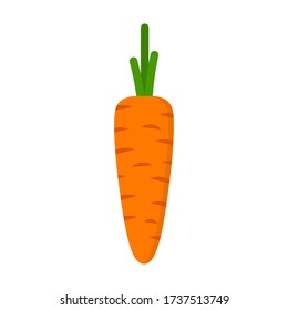 Orange fresh carrot. Healthy food. Vector illustration, isolated on a white background.