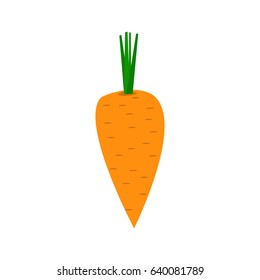 Orange Fresh Cartoon Style Carrot on White Background, Organic Food, Isolated Vector Illustration