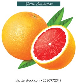 orange fresh cut plant food item fresh juicy fruit vitamin c