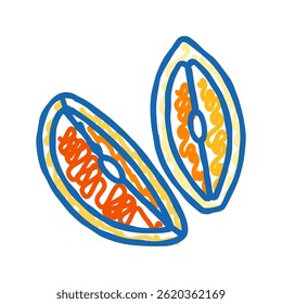 orange fresh cut slice doodle icon sketch vector. orange fresh cut slice sign. isolated symbol illustration