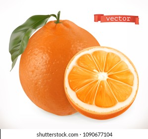 Orange. Fresh fruit 3d realistic vector icon Orange. Fresh fruit 3d realistic vector icon