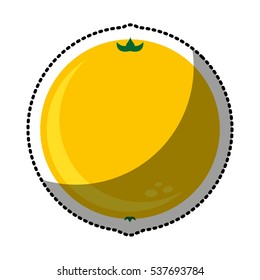 orange fresh fruit drawing icon vector illustration design
