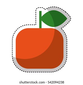 orange fresh fruit drawing icon vector illustration design