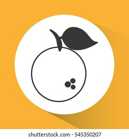 orange fresh fruit drawing icon vector illustration design