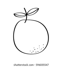 orange fresh fruit drawing icon