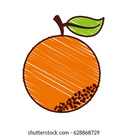 orange fresh fruit icon