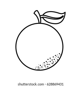 orange fresh fruit icon
