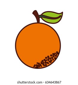 orange fresh fruit icon