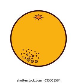 orange fresh fruit icon