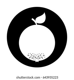orange fresh fruit icon