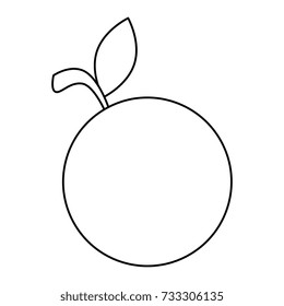 orange fresh fruit icon