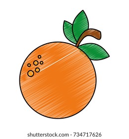 orange fresh fruit icon