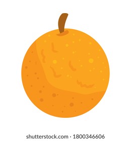 orange fresh fruit, in white background vector illustration design