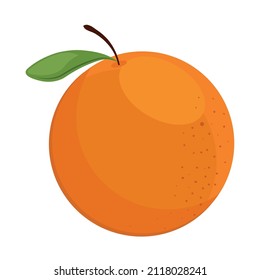 orange fresh icon design flat