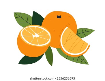 Orange, fresh natural vitamin food. Tropical fruit slices, cut pieces, half and whole citrus on leaf. Exotic sweet healthy nutrition, eating. Flat vector illustration isolated on white background