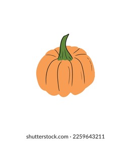 Orange fresh pumpkin vector hand drawn illustration with black lines isolated on white background. Farm concept, healthy nutrition, halloween, ingredient, menu, cooking, porridge, pie