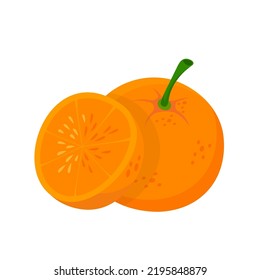 Orange, fresh sweet citrus fruit from tropical summer vector illustration. Cartoon isolated whole organic orange with peel and cut in half, juicy vegetarian vitamin dessert and food ingredient