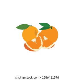 orange fresh vector. vitamin healthy juicy