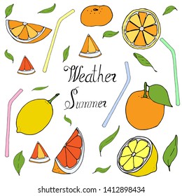 Orange freshness vector illustration  hand draw. Celebrate happy summer vector  illustration. Happy freshness celebrate hand draw box vector  illustration.