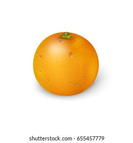 Orange fruit 3d realistic. Vector illustration.