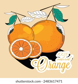 orange fruit advertisement colored classical flat sketch