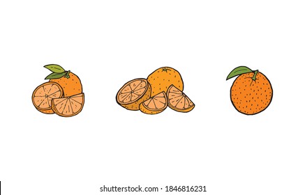 Frutos anaranjados dispuestos en una ilustración de color dibujada a mano. Berry simple llena de cítricos con hoja. Caricatura de la tangerina alimenticia o mandarina. Dibujo de plumas orgánicas tropicales y de jugo natural