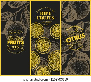 Orange fruit banner set. Hand drawn vector fruit illustration. Engraved style vintage citrus background.