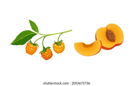 Orange fruit and berries set. Fresh ripe cloudberry and peach cartoon vector illustration