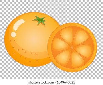 Orange fruit cartoon style isolated illustration