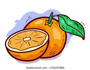 Orange fruit in cartoon style, vector illustration of orange, hand drawing graphic with outline