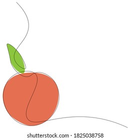 Orange fruit citrus drawing. Vector illustration	