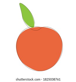 Dibujo de cítricos de fruta naranja. Ilustración del vector	