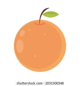 orange fruit citrus fresh icon isolated