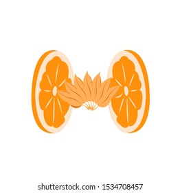 orange fruit, citrus lemon, vector of fresh lime