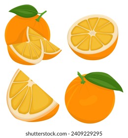 Orange fruit collection in different variations. Vector illustration