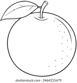 Orange Fruit Coloring Page Colored Illustration