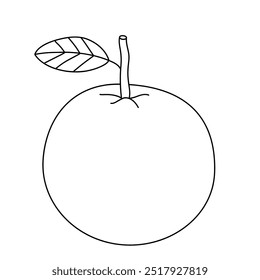 Orange fruit coloring pages for kids. Trace and color orange vector. Coloring page and tracing worksheet fruit of orange. Kindergarten and preschool activity.